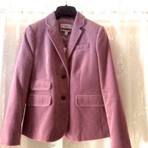 J Crew  Gorgeous Purple velvet schoolboy jCrew 0P